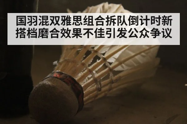 国羽混双雅思组合拆队倒计时新搭档磨合效果不佳引发公众争议