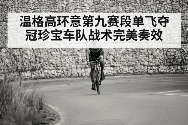 温格高环意第九赛段单飞夺冠珍宝车队战术完美奏效