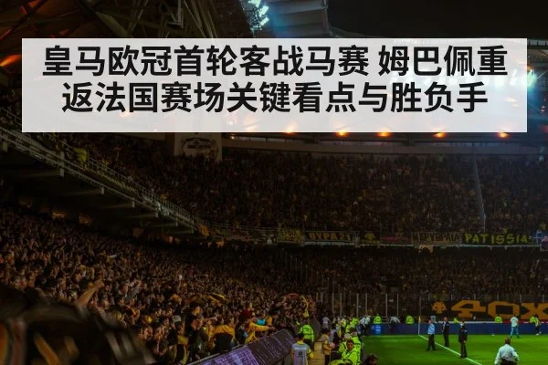 football stadium night crowd